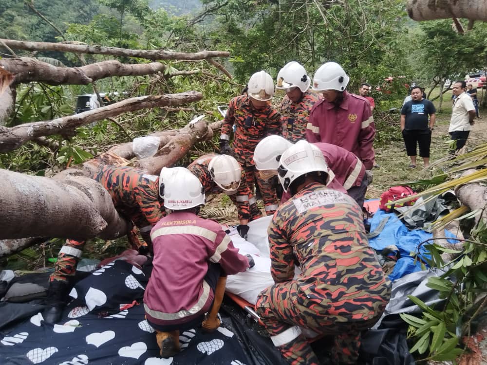 Wanita maut dihempap pokok di Janda Baik