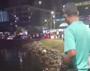 Wanita warga emas ditemukan lemas di Berjaya Waterfront