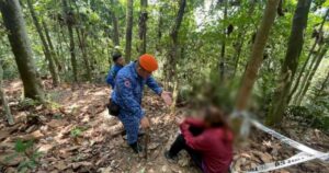 Woman rescued from Bukit Dinding after 'tiger' chase turns out to be wild boar