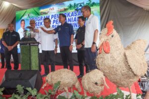 ‘Bantuan subsidi petrol untuk petani, pesawah sedang diselaras’