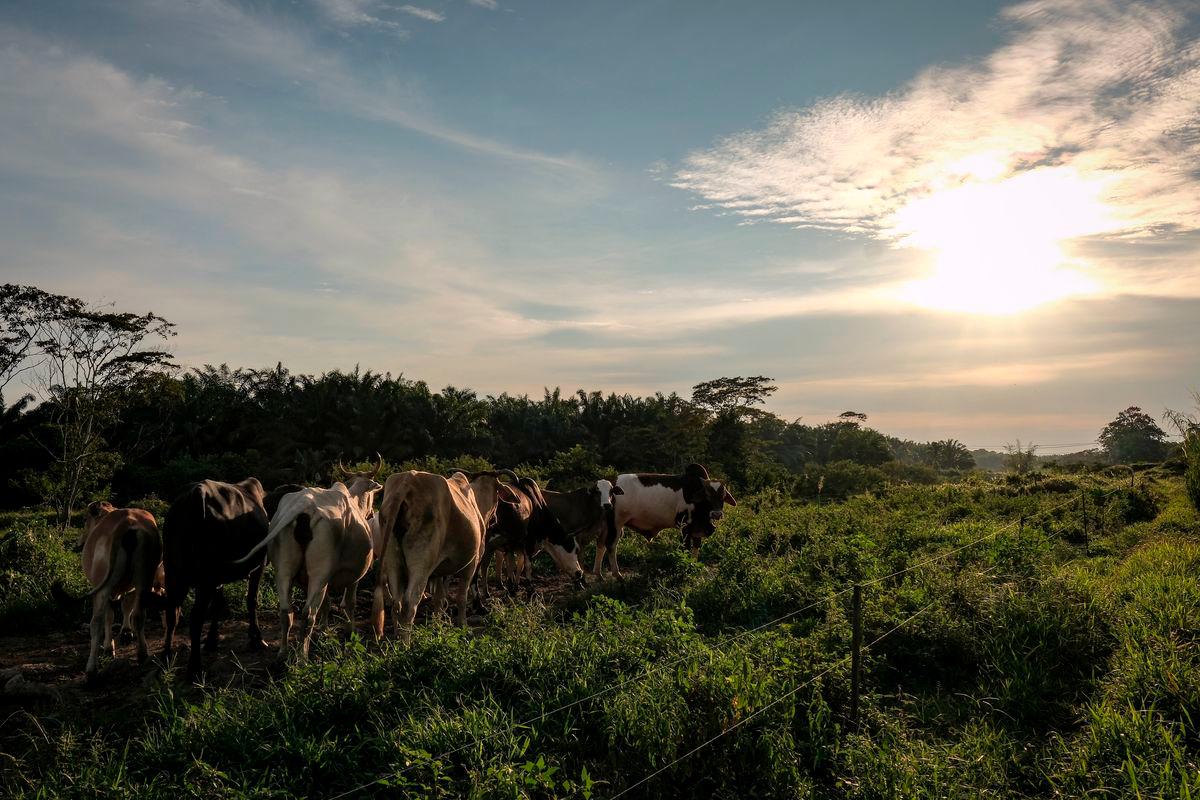 Budget 2026 drives sustainable development for planetary health