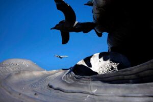 Burbank Airport loses air traffic control amid US government shutdown