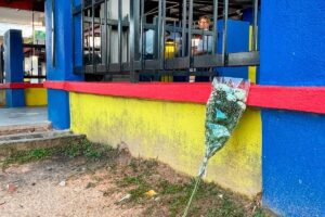 Culture of violence spreading among youth online