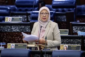 Cybercrime Bill will be used to fight crime, not a political tool, says Zaliha