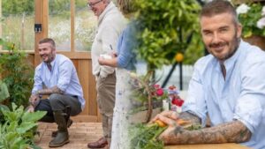 David Beckham seronok berkebun, taman bawang