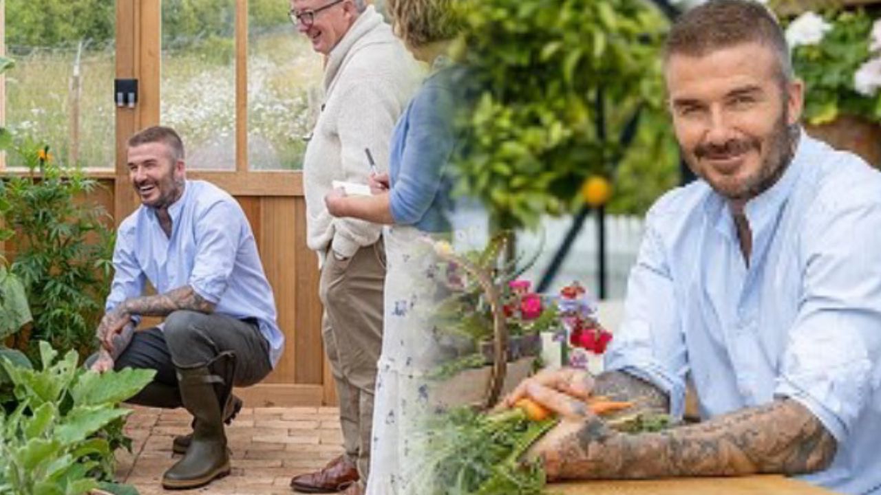 David Beckham seronok berkebun, taman bawang