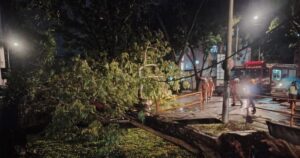 Fallen tree damages two cars in Penang