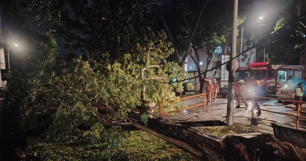 Fallen tree damages two cars in Penang