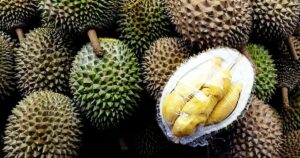 Farmers charged with money laundering over proceeds from illegally grown durians