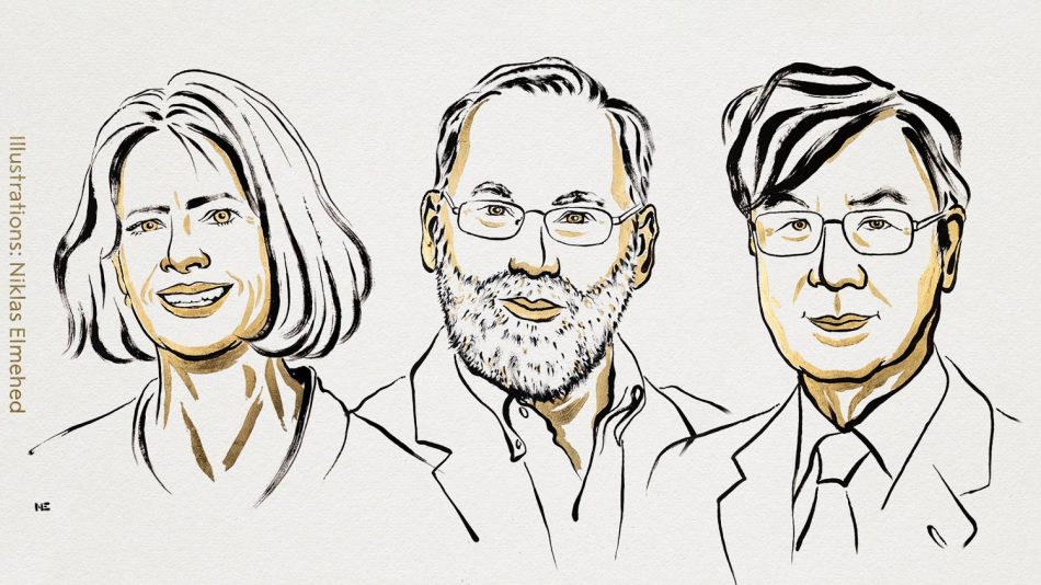 Hadiah Nobel Fisiologi Atau Perubatan Dianugerahkan Kepada 3 Saintis Yang Mengkaji Sistem Imun Tubuh