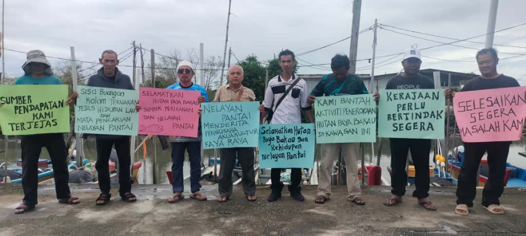 Hutan paya bakau diteroka, pendapatan 500 nelayan terjejas