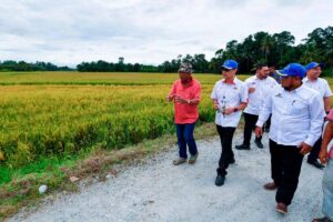 KPKM approves 18 agricultural upgrade projects worth RM400 million