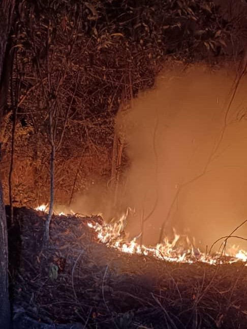 Kebakaran belukar 6 ekar di Salak Tinggi, bomba masih giat padam api