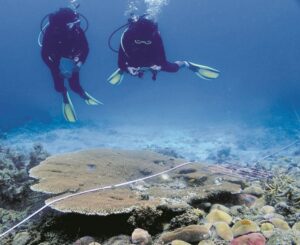 Kelestarian laut teras keterjaminan makanan negara