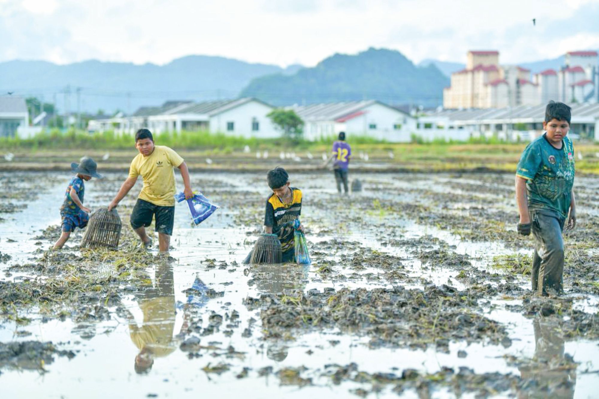 Kepuasan berkubang ‘menggagau’ ikan