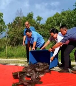 Lepas Keli Afrika ke perairan terbuka, DOF tunggu penjelasan MBSP