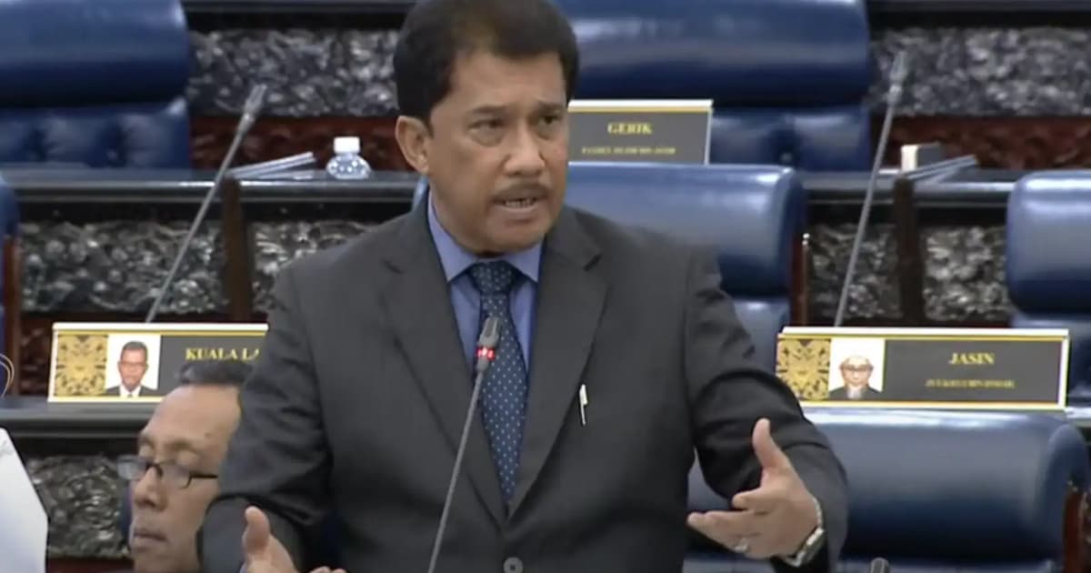 Make Malay versions of statutes definitive ones by 2030, says MP