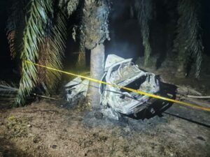 Maut terbakar selepas kereta langgar pokok kelapa sawit 