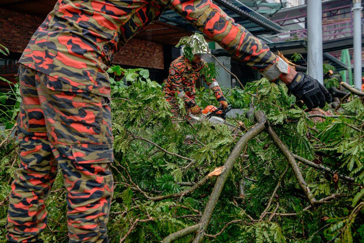 Morning storm in Penang causes tree falls and traffic disruptions