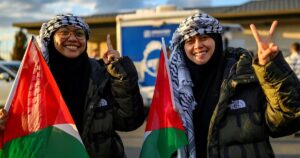 M’sian flotilla activists beaten, given animal food by Israelis, claims lawyer