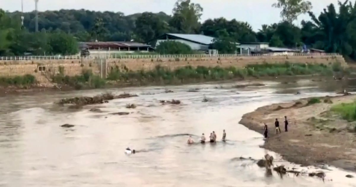 Myanmar scam centre raid sends hundreds fleeing to Thailand