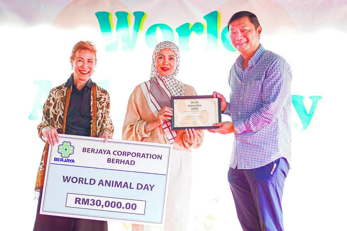 New cat shelter marks milestone for animal welfare