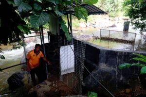 Orang Asli in Gua Musang urgently need electricity supply restoration