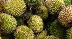 Over 115,000 tonnes of durians worth RM6.37bil exported to China since 2018