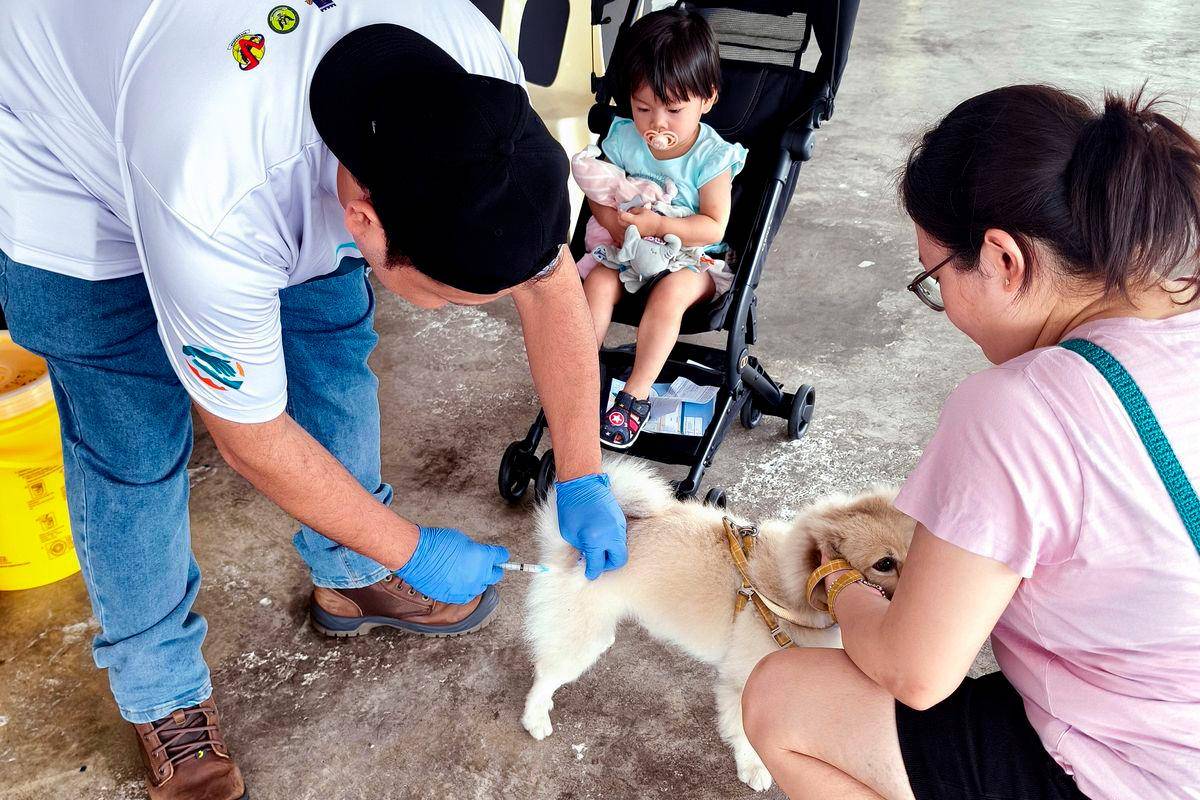 Over 13,000 animals vaccinated in Malaysia to prevent rabies spread