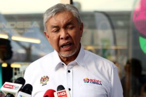 Parties' exit from GRS an old political tactic that voters should reject, says Zahid