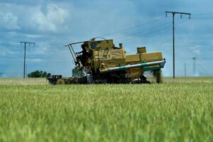 PeSAWAH calls for immediate implementation of Budget 2026 farmer incentives