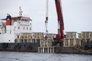 Pergerakan ikan pelagik pengaruhi kadar pendaratan