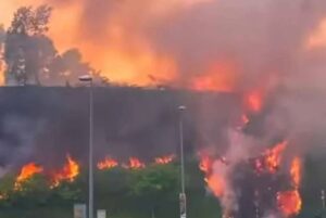 QuickCheck: Was there a forest fire near Setia Alam?