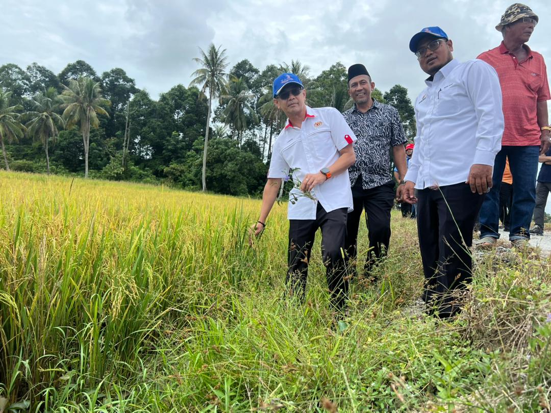 RM400 juta naik taraf sistem pengairan pertanian