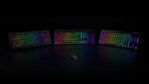 Razer Wireless HyperPolling BlackWidow V4