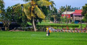 Rural heartlands key to next growth wave under 13MP