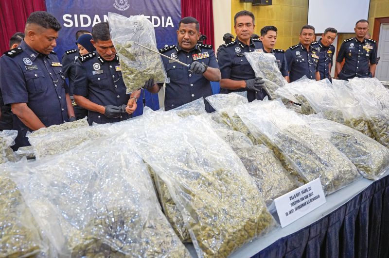Sindiket edar ganja RM5.9 juta tumpas