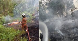 Six acres of forest scorched in Shah Alam, no casualties reported