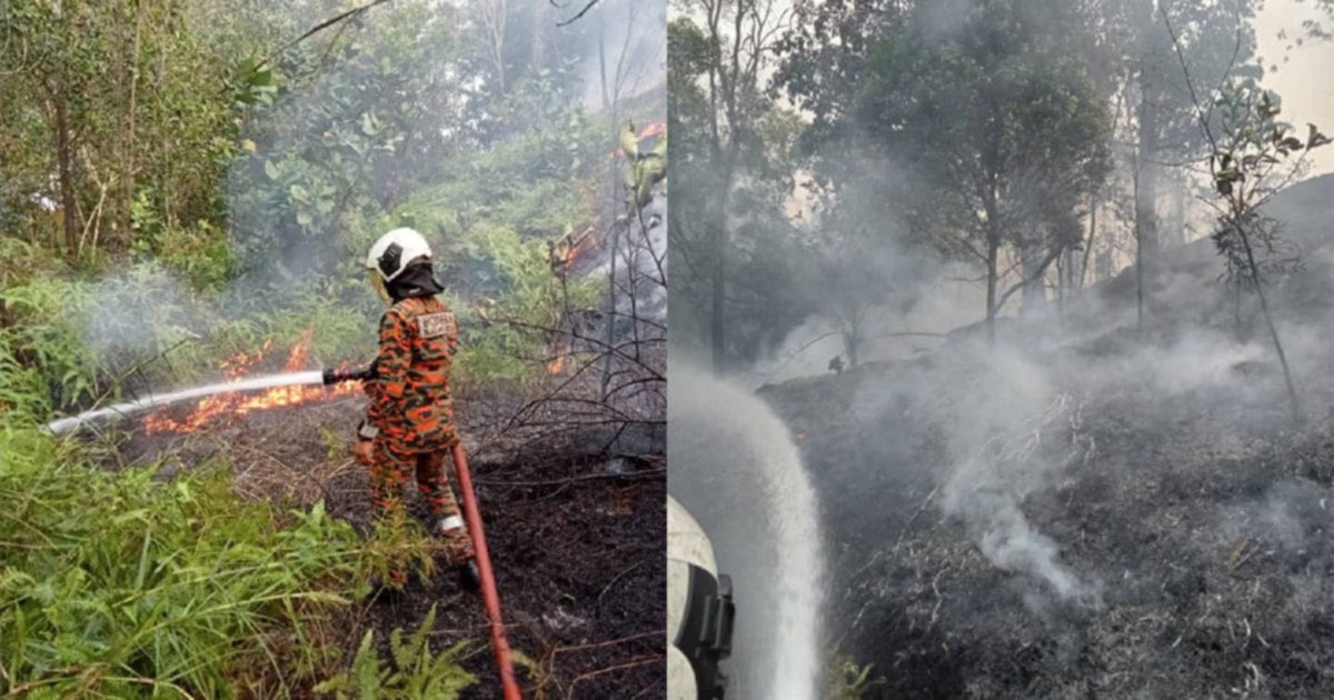Six acres of forest scorched in Shah Alam, no casualties reported