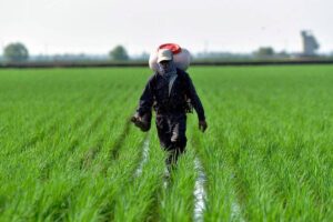 Subsidi pertanian RM2.62 bilion tertinggi dalam sejarah