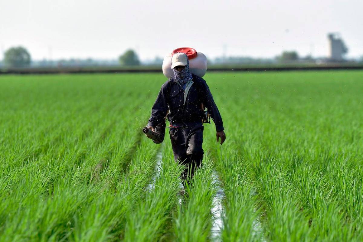 Subsidi pertanian RM2.62 bilion tertinggi dalam sejarah