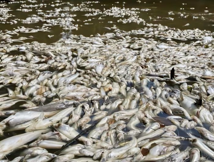 Tangani segera masalah pencemaran Sungai Bera