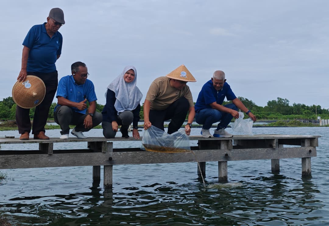 Ternakan udang, siakap bantu nelayan terkesan tambakan laut
