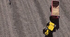 Trump says China to buy 'tremendous amounts' of US soybeans