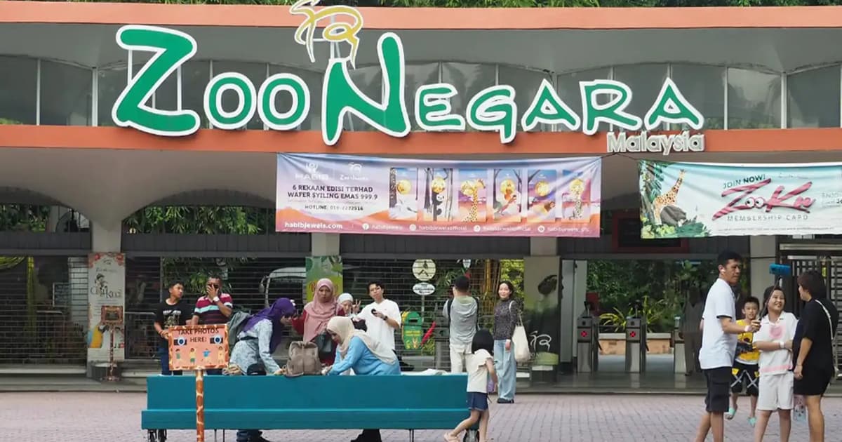 We’re staying in Hulu Kelang, says Zoo Negara operator