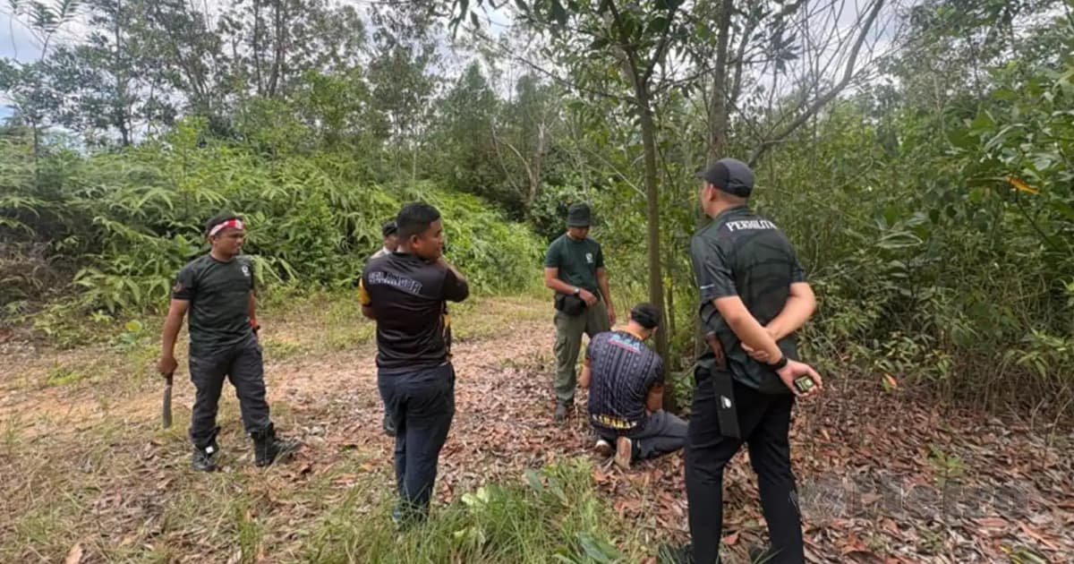 Wildlife officers probe reports of tiger roars in Ampang