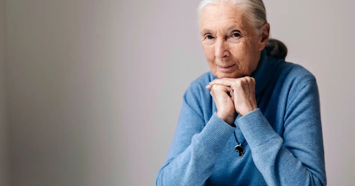 World-renowned chimpanzee expert Jane Goodall dies at 91