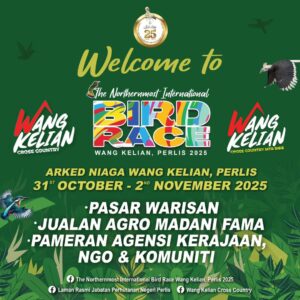 ‘Buru’ gambar ikonik spesies burung di Wang Kelian sempena Bird Race 2025