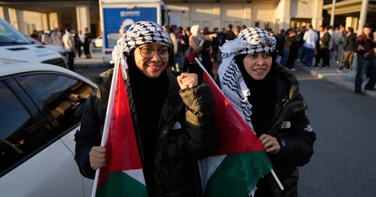 ‘We were treated like animals’, deported Gaza flotilla activists say