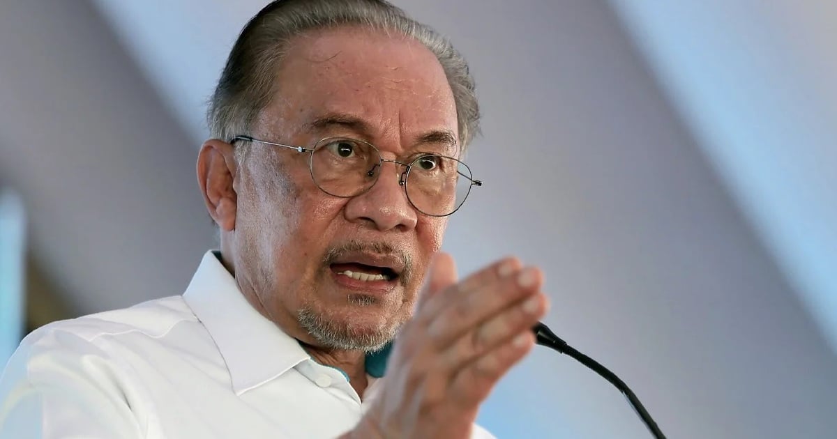 Anwar confirms reprimanding political secretary over support letter